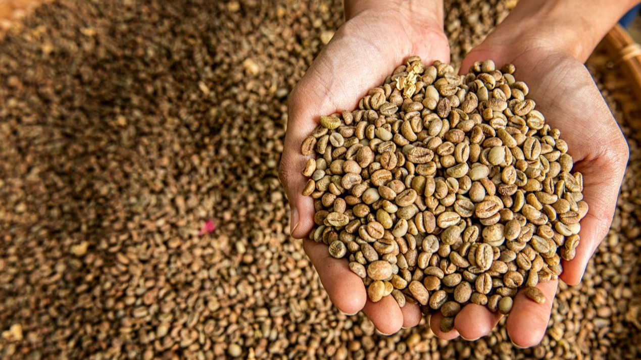 639208255926399862_vietnam green coffee beans 2.jpg